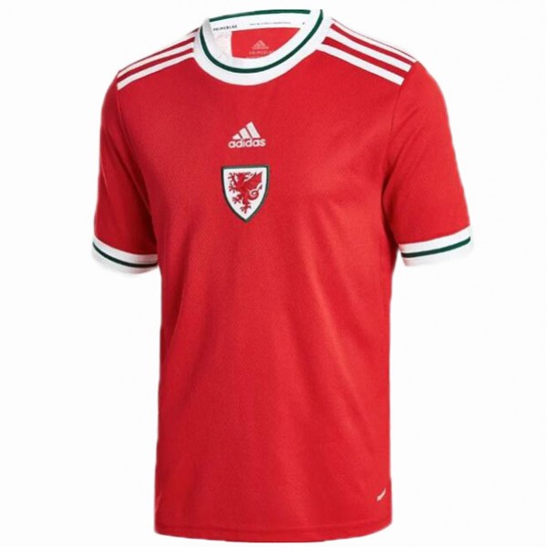 Wales home jersey adult soccer uniform men's red sportswear football top shirt 2022